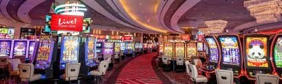 winbet999